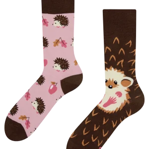 Calcetines alegres Erizo