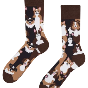 Calcetines alegres Perritos
