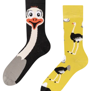 Calcetines alegres Avestruz