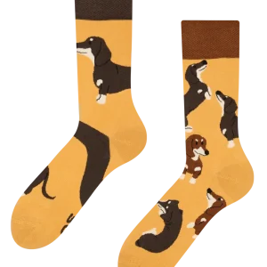 Calcetines alegres Perros salchicha